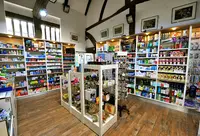 Saxon Warrior Pharmacy Travel Clinic & Vaccinations